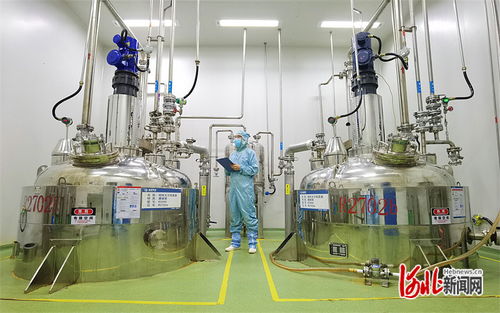 夯實(shí)法治之基 增添協(xié)同底色 京津冀協(xié)同發(fā)展中的人大力量