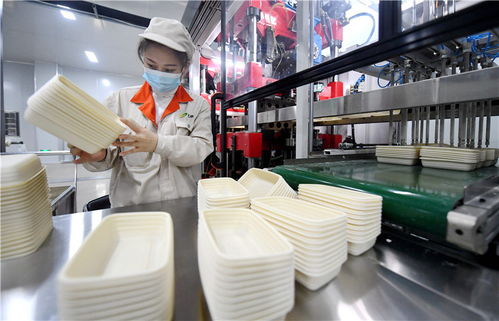 新知 白色污染 問題漸重 拿什么替代你,塑料